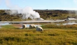 Island für Naturfreunde