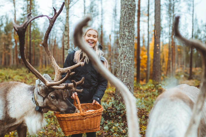 Aktiver Herbsturlaub in Lappland