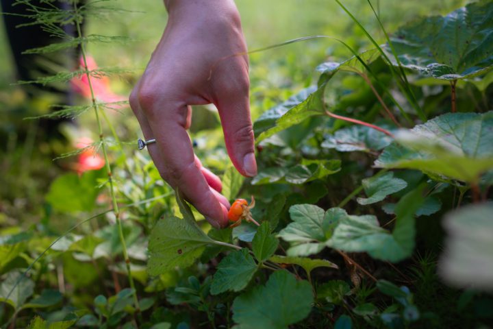 Erfrischen & Auftanken | Wohlfühltage in der nordischen Natur